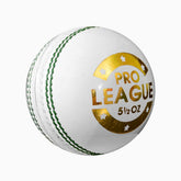 DSC Pro League Leather Ball
